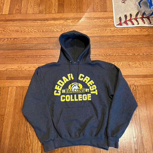Champion‎ cedar crest college hoodie - Picture 1 of 4